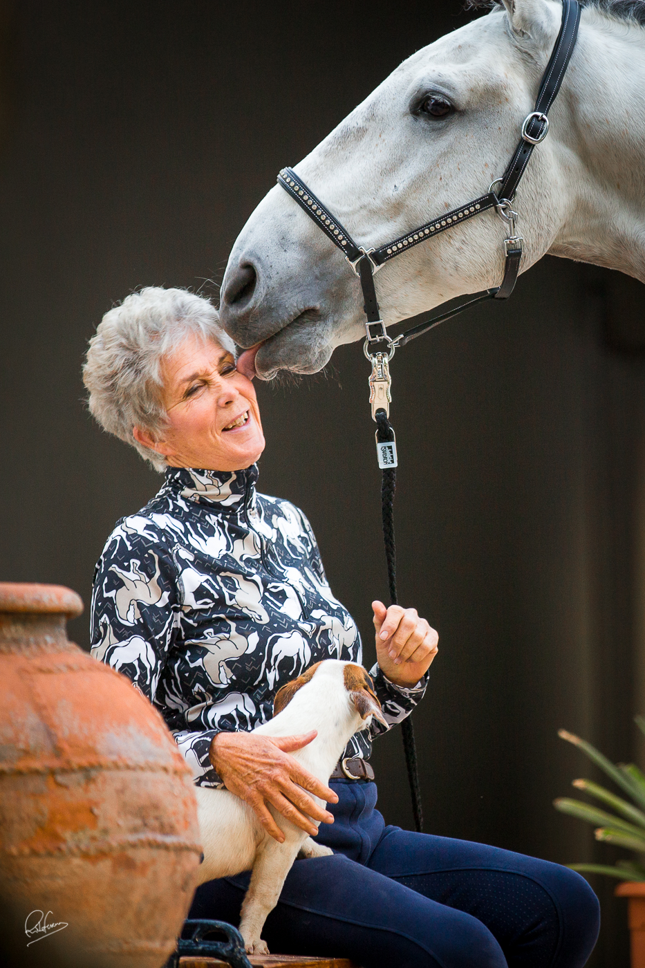 Frances Carbonnel: How I found my Dream Lusitano