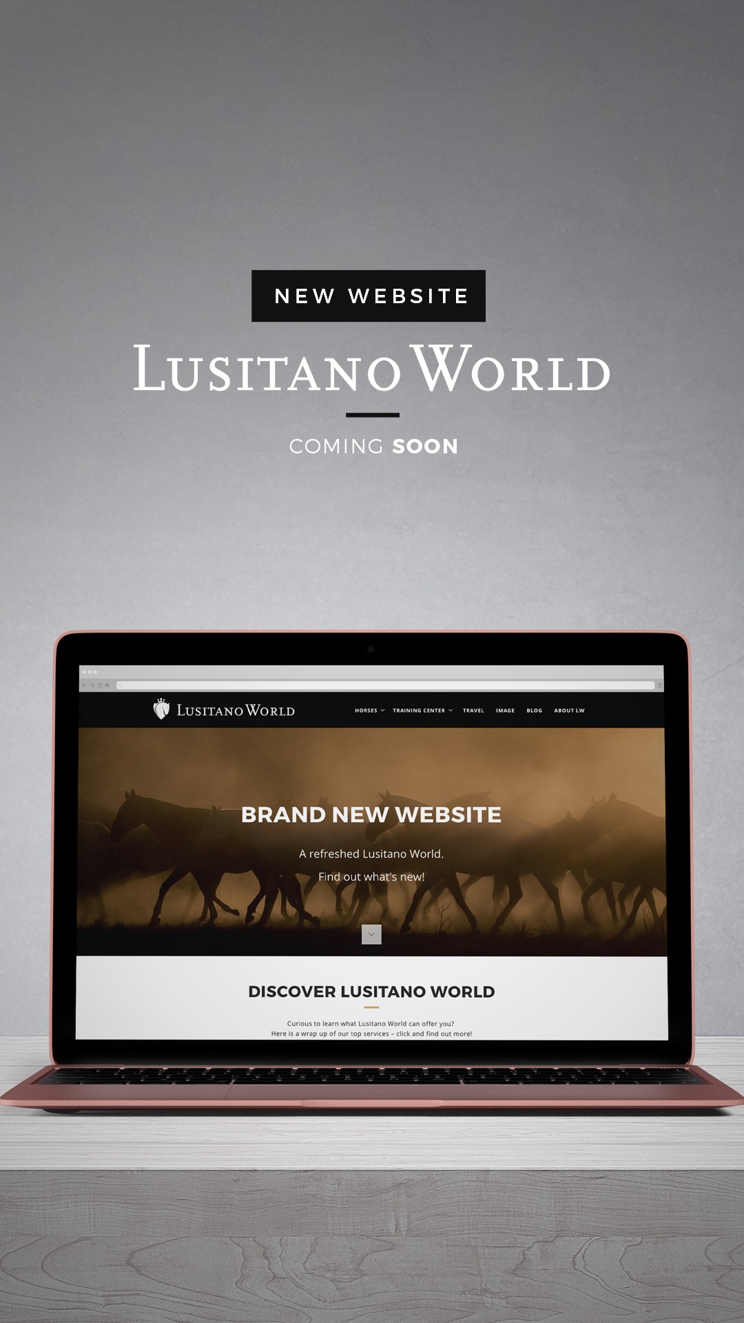 Renewed Lusitano World