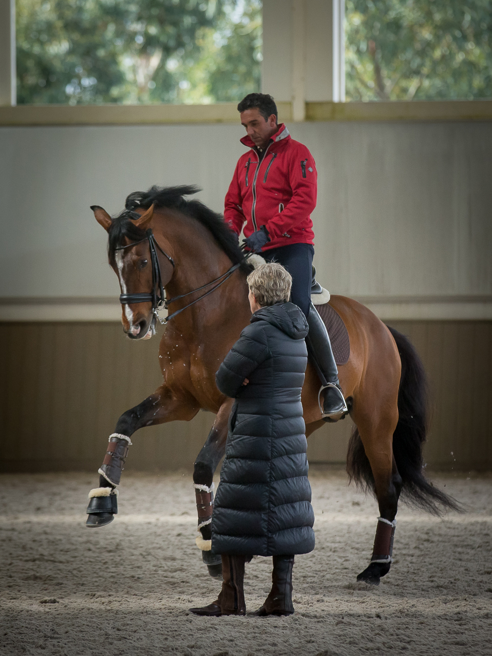 New Portuguese Dressage Trainers