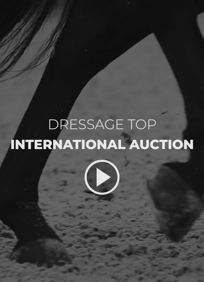 Dressage Top Auction