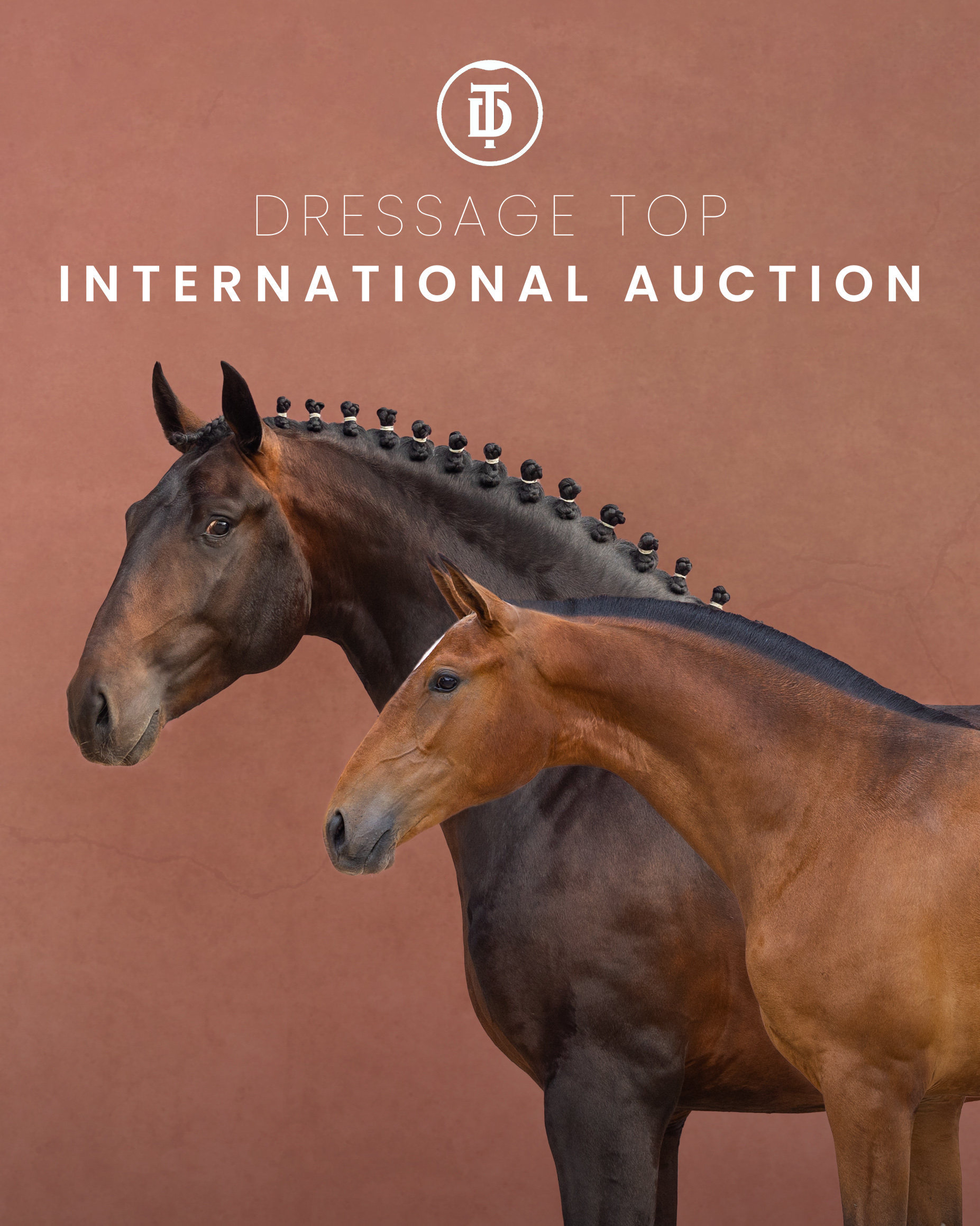 Dressage Top Auction