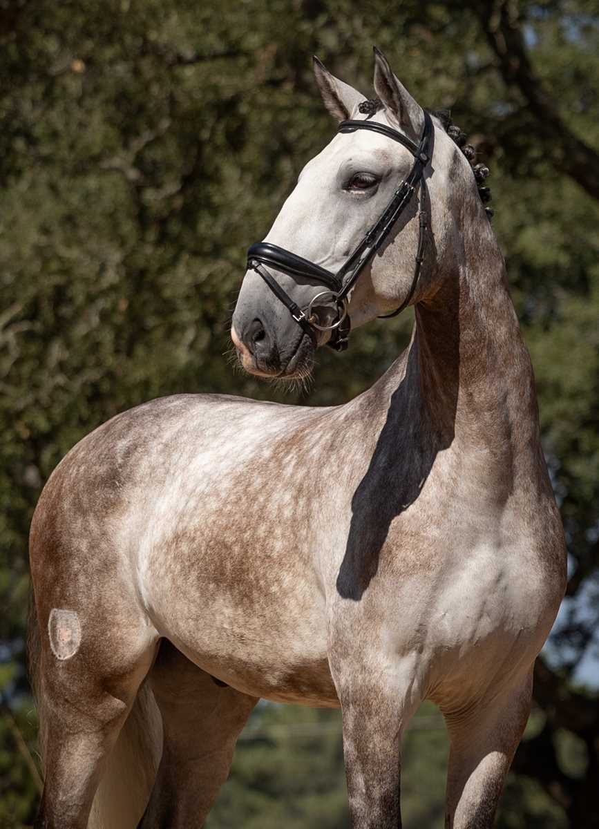 861