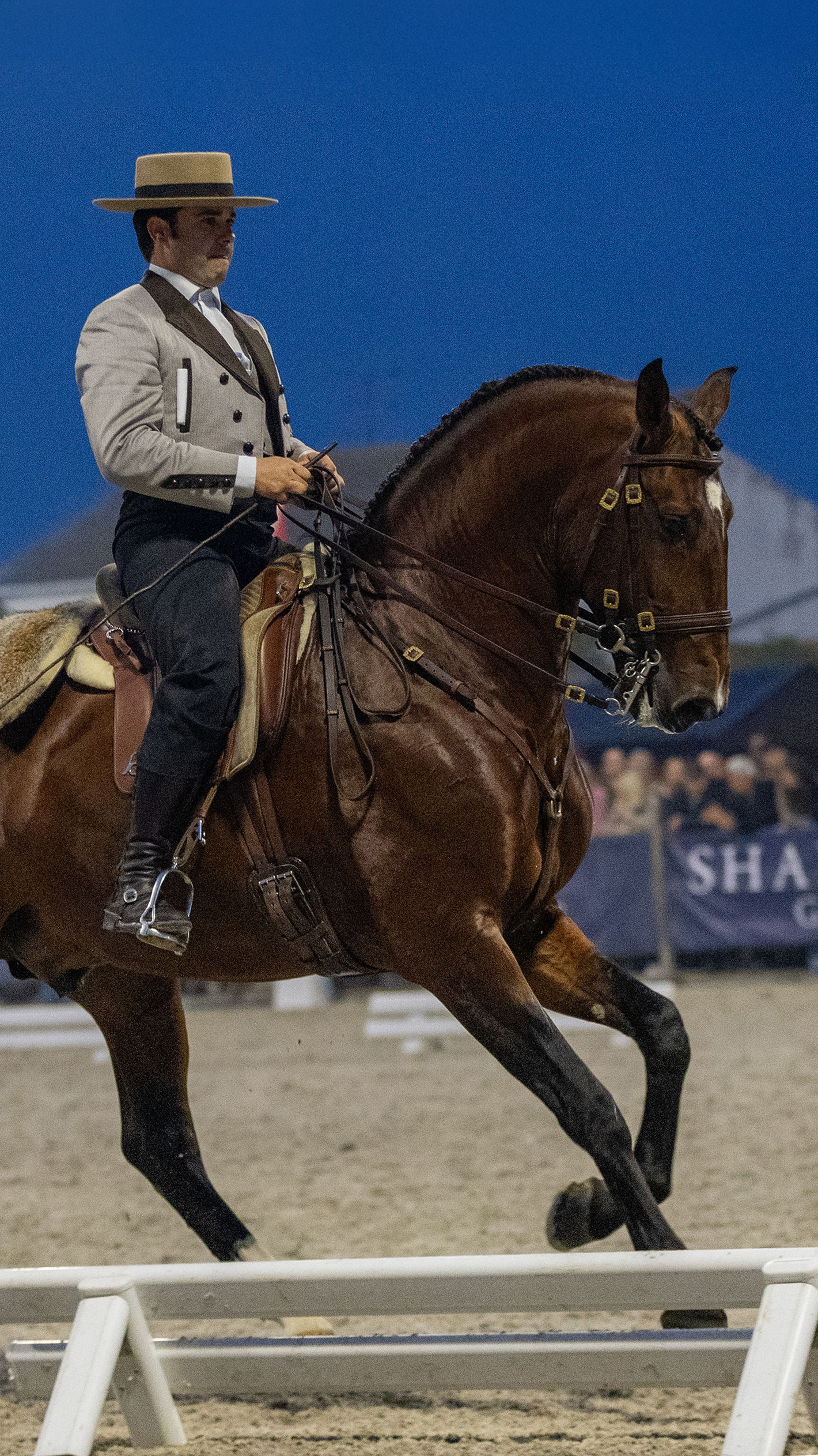 FNC 2023 – Model & Gaits competitions