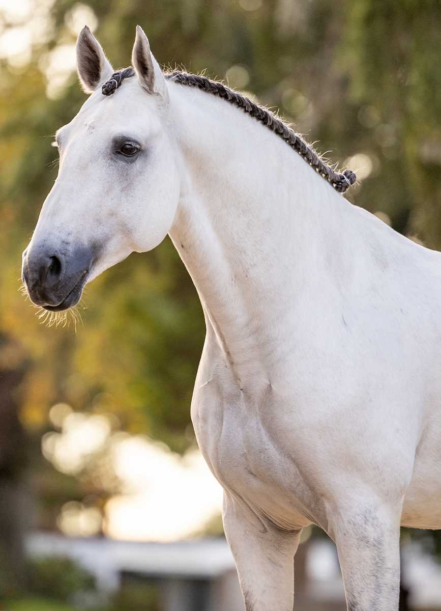 987