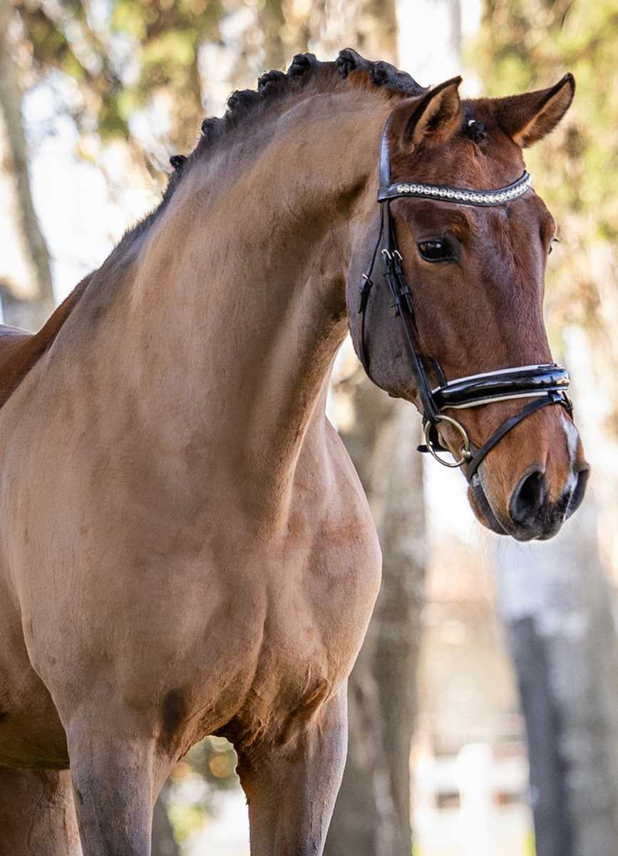 990
