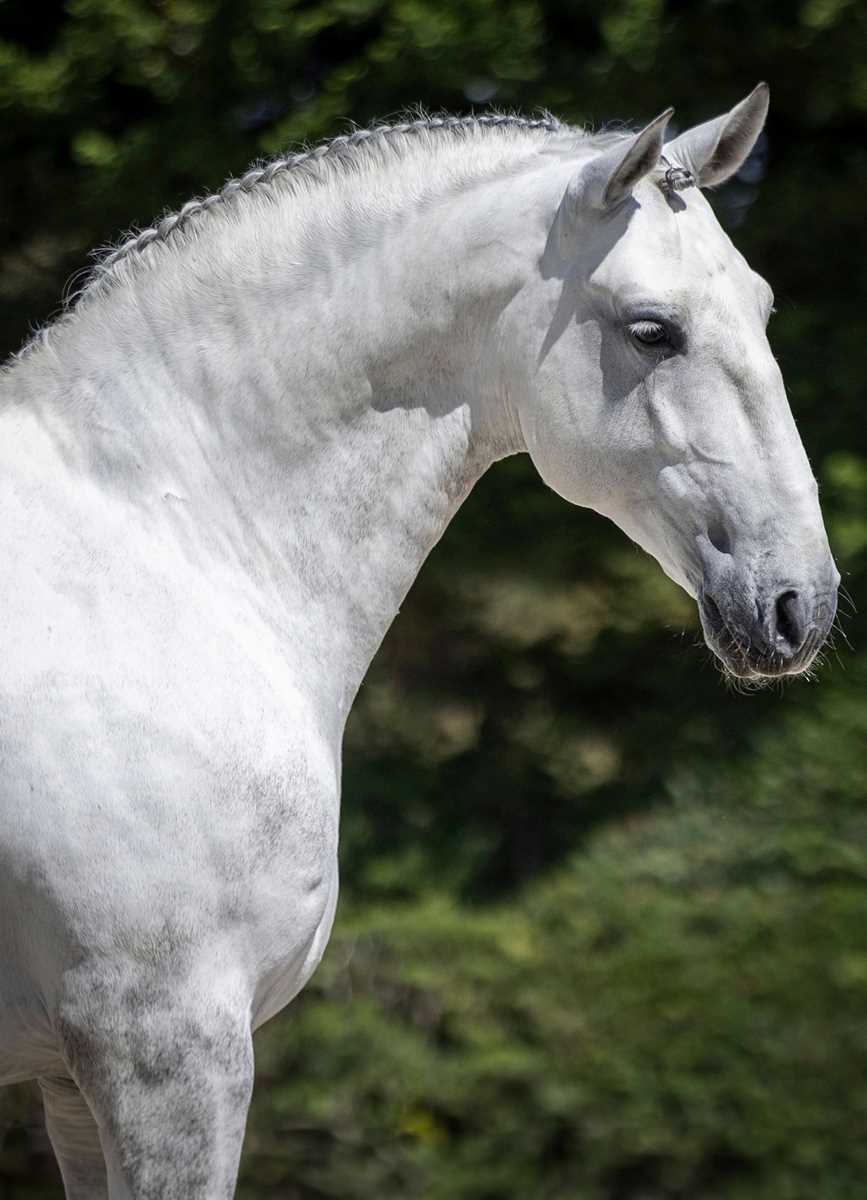907