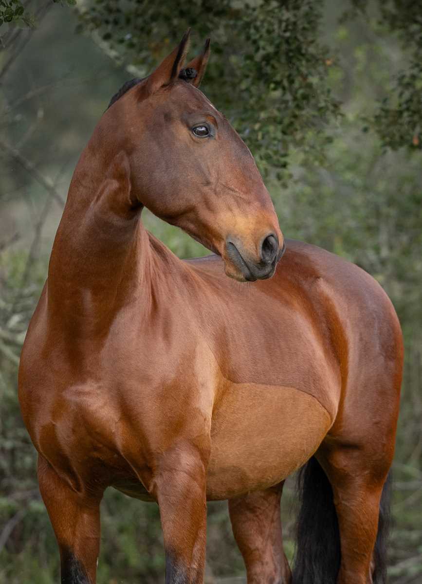 1002