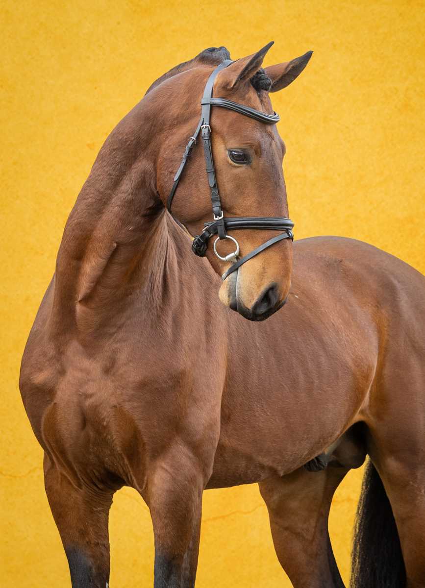 1005