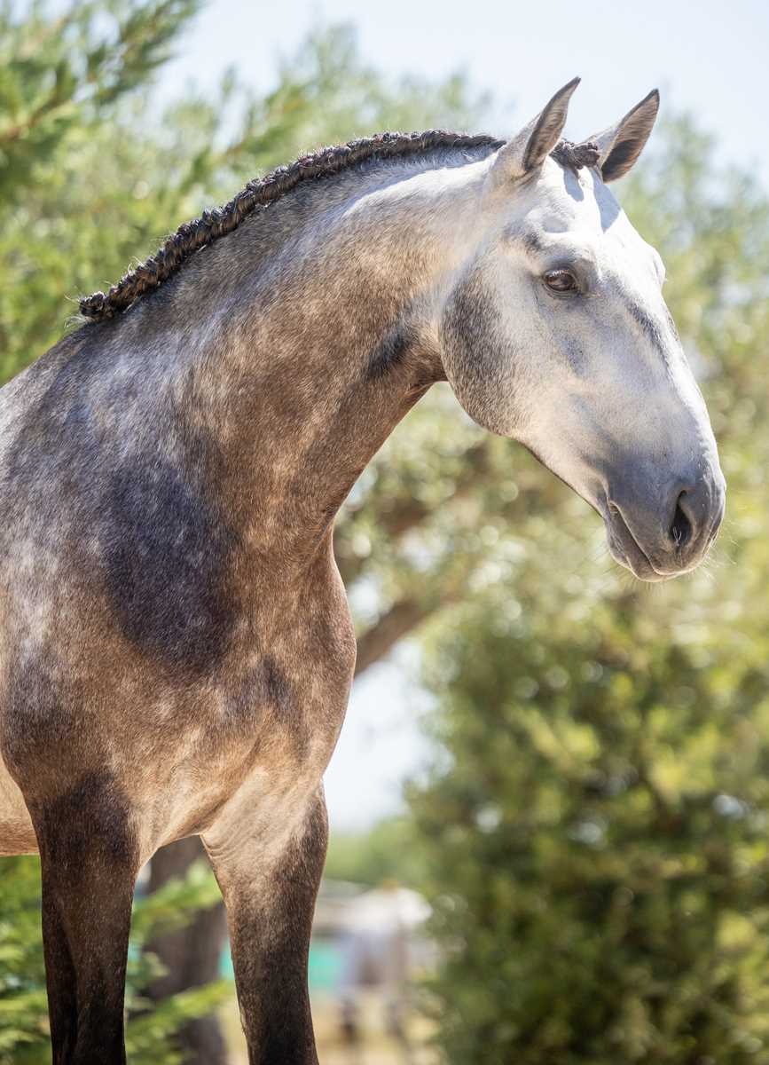 1020
