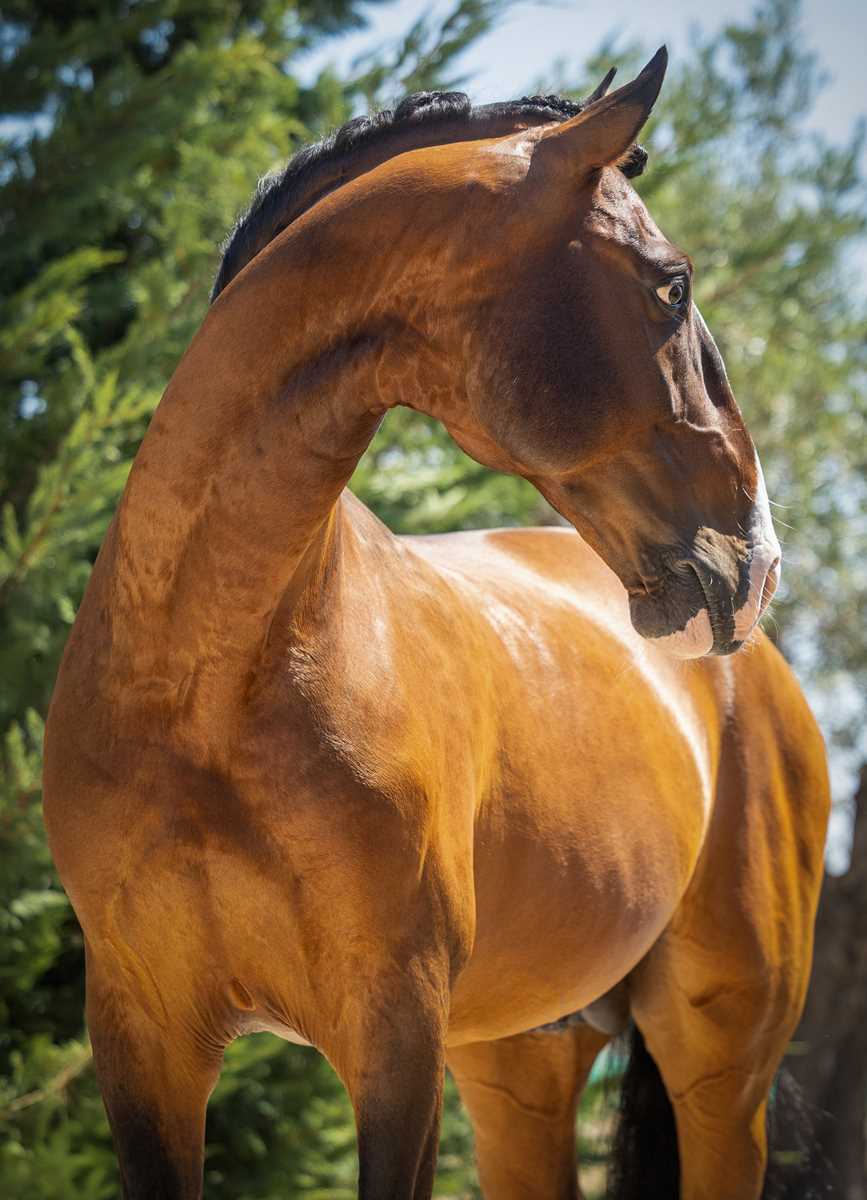1022