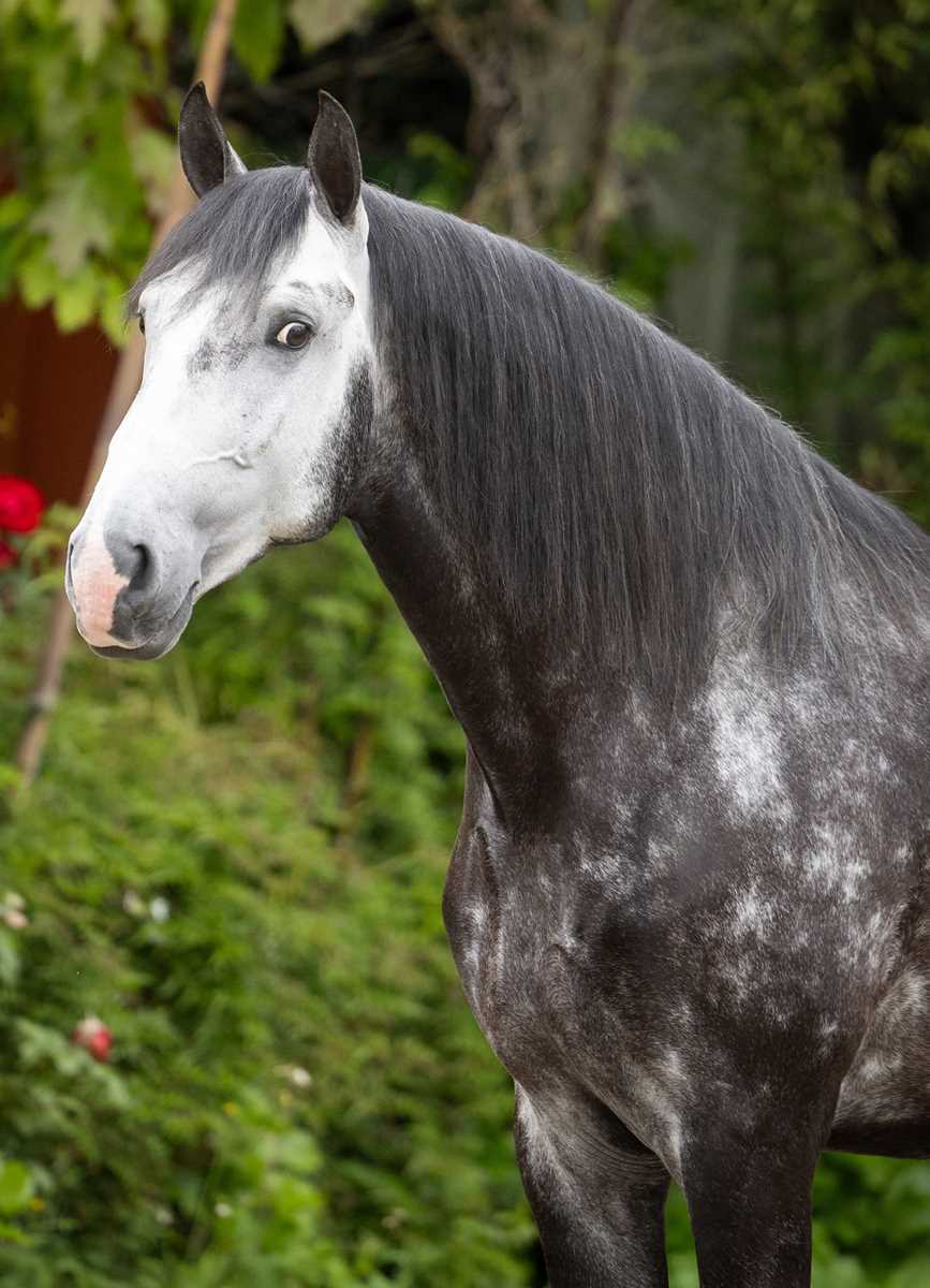 1033