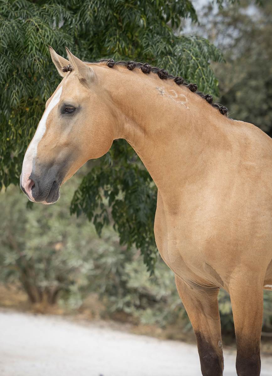 1053