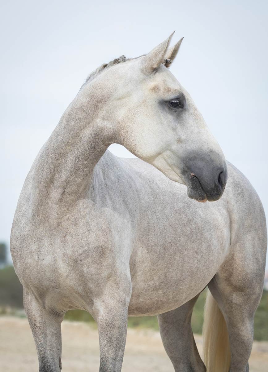 1050