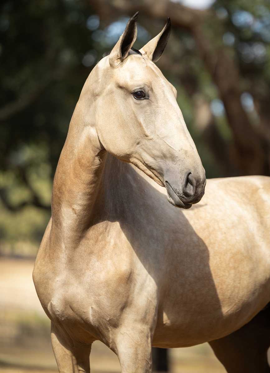 920