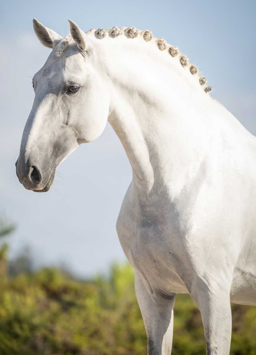 1046