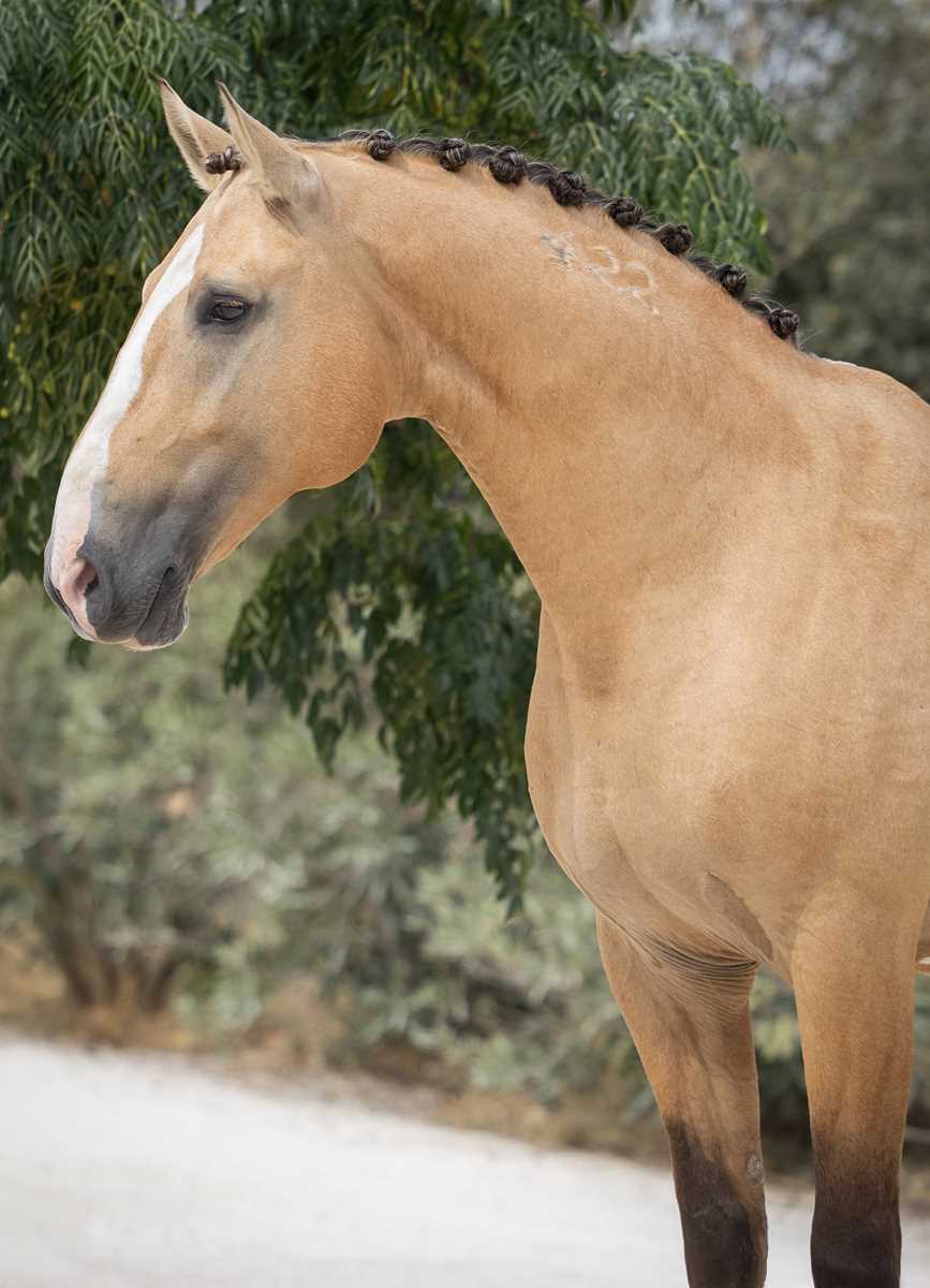 1053