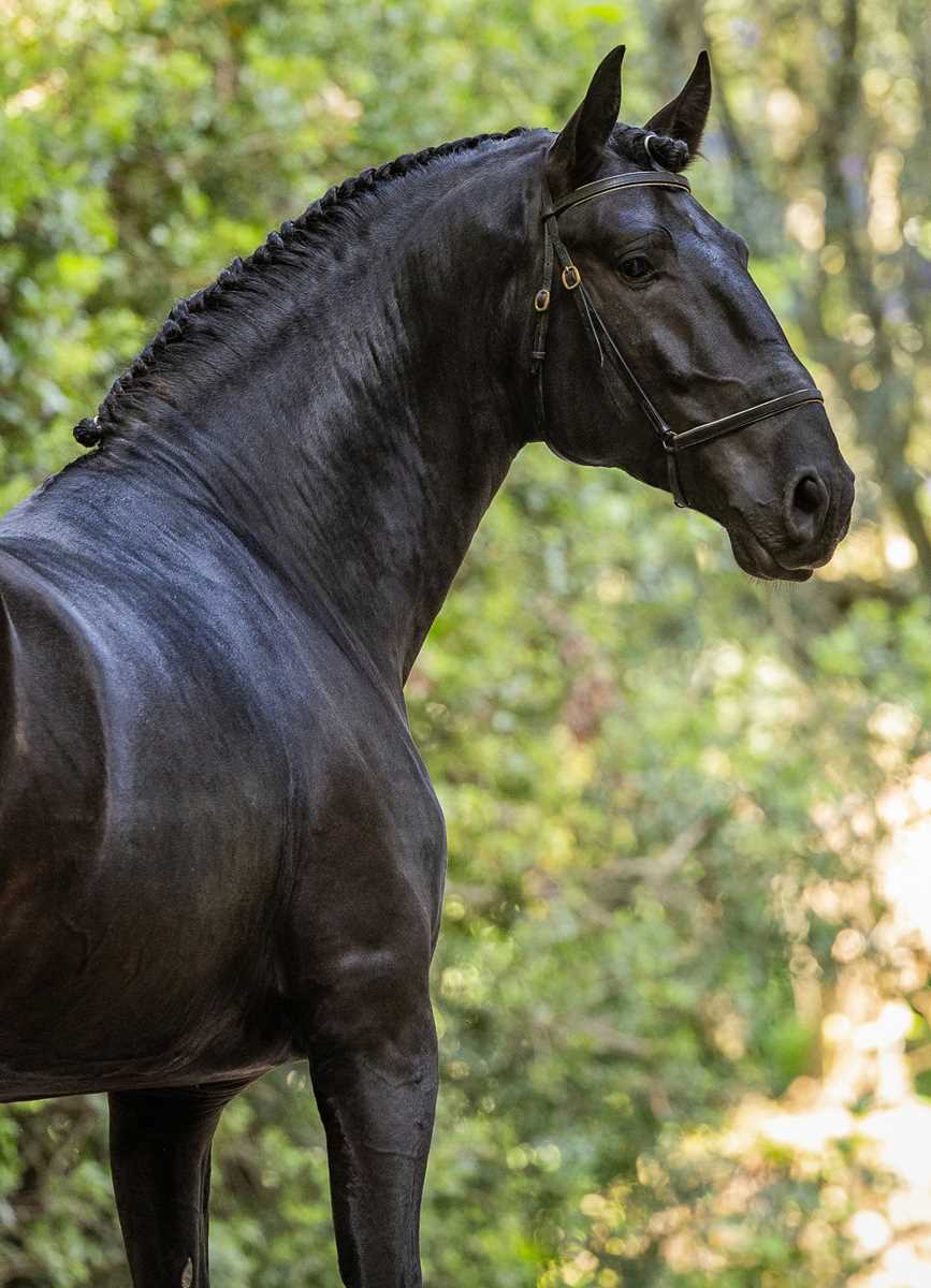 1055
