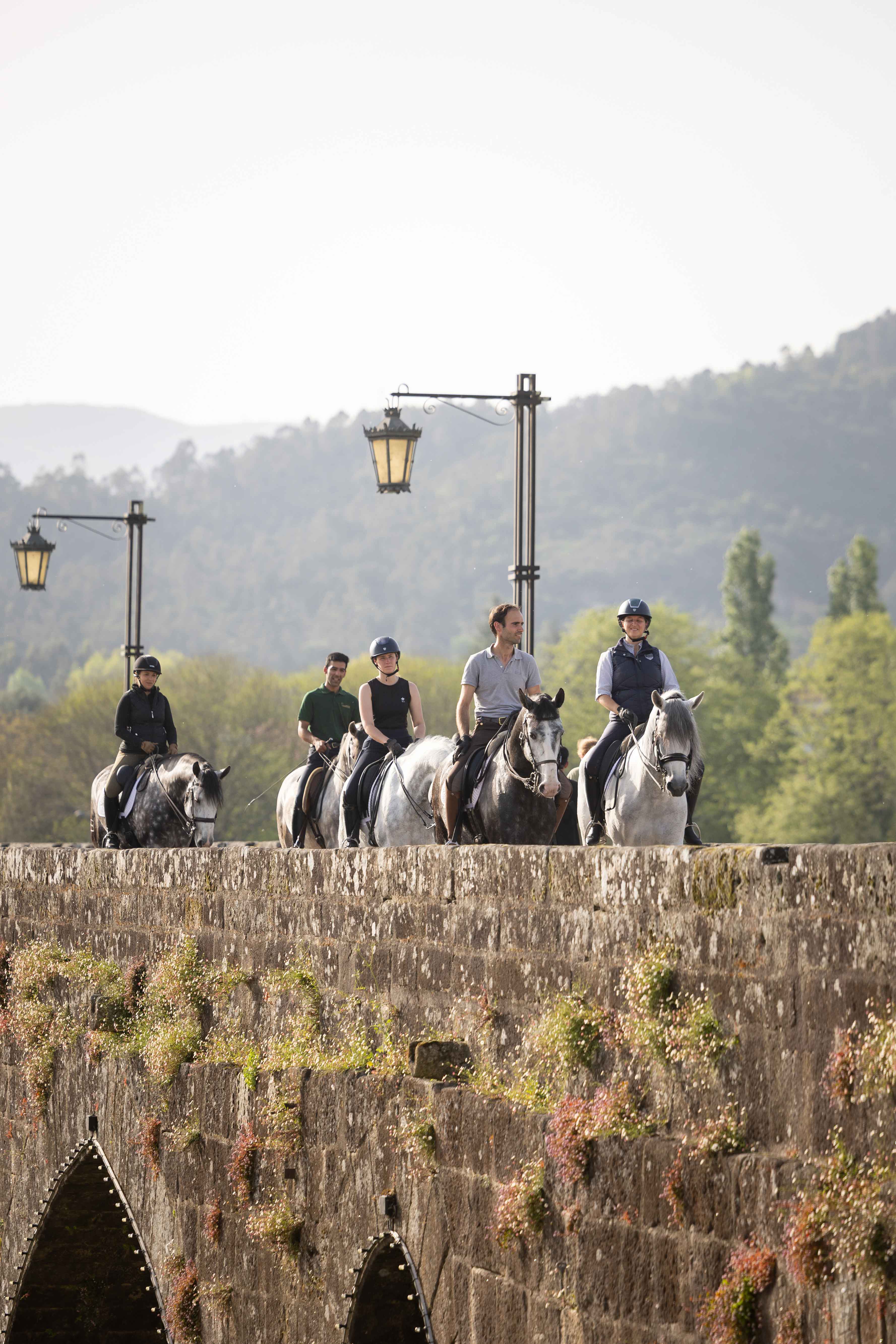 Dressage & Mountain Trail Ride