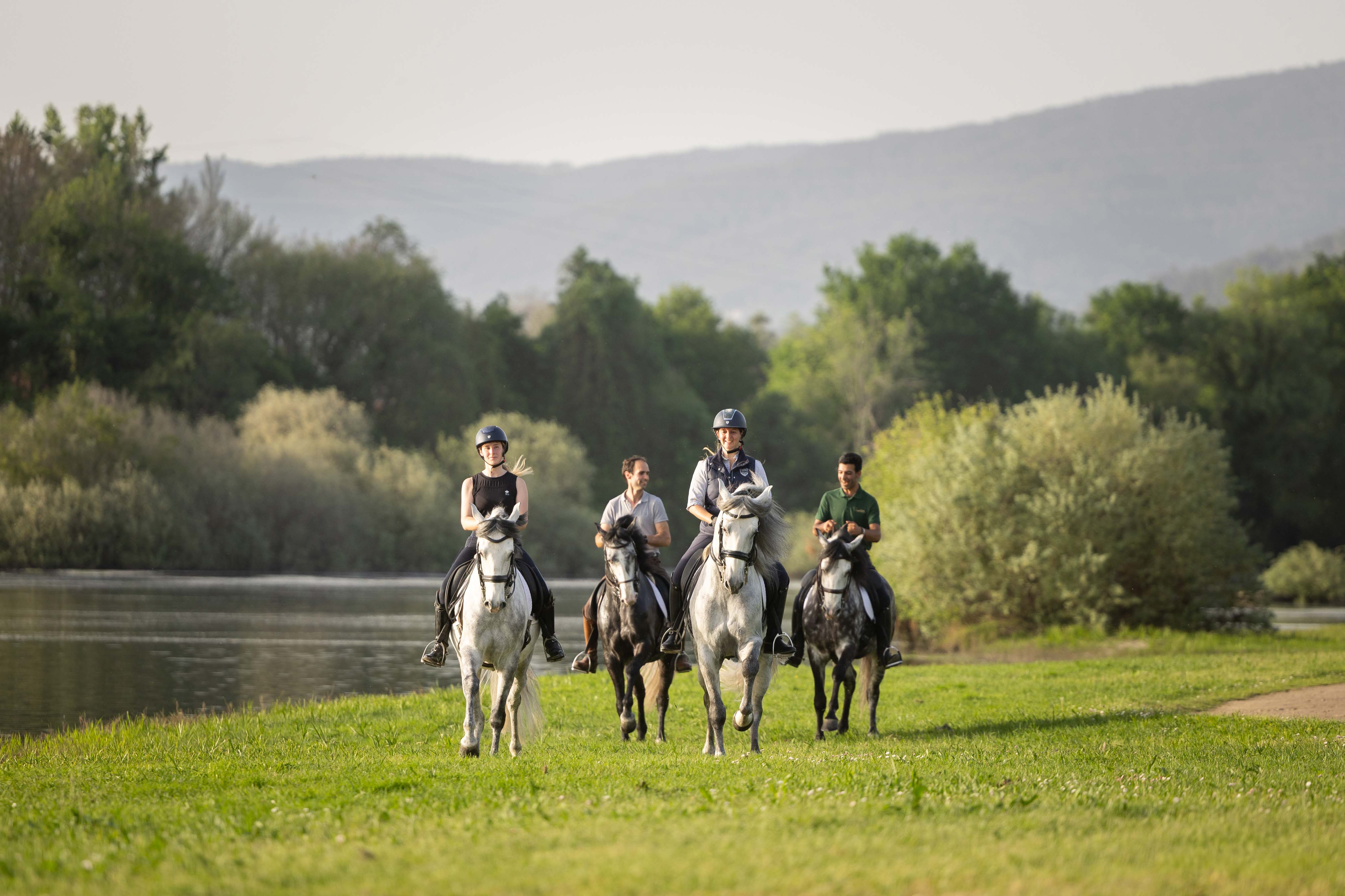 Dressage & Mountain Trail Ride