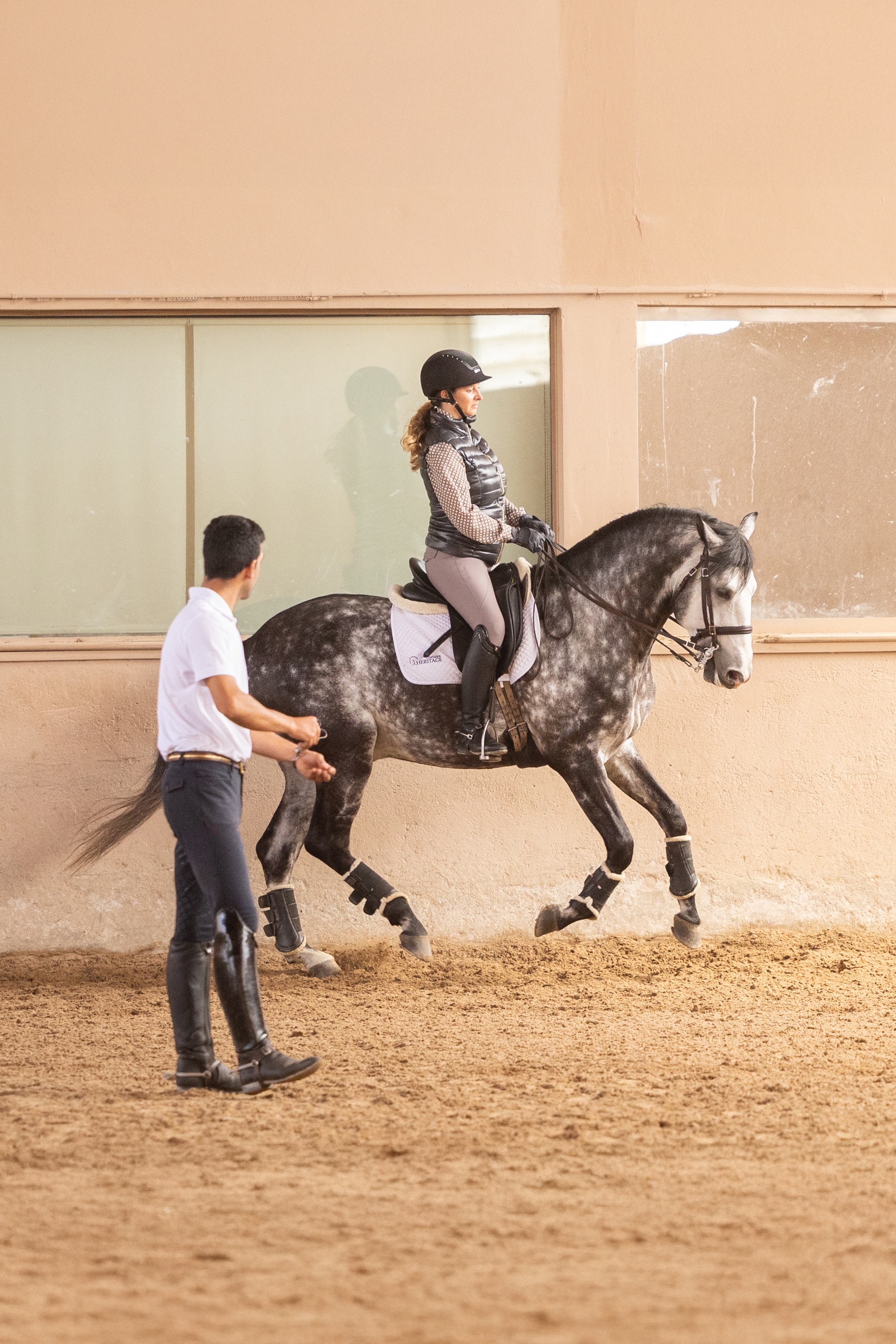 Dressage & Mountain Trail Ride